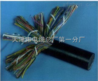 天津市電纜總廠第一分廠 專業打造礦用通信電纜，保障井下配線與用戶線路穩定可靠